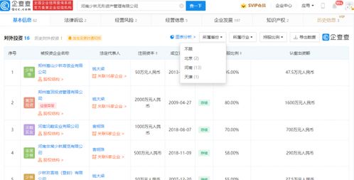 少林寺4.52亿郑州买地进军房地产 企查查显示摘牌公司刚成立2周