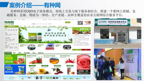 大宗农产品交易平台建设方案
