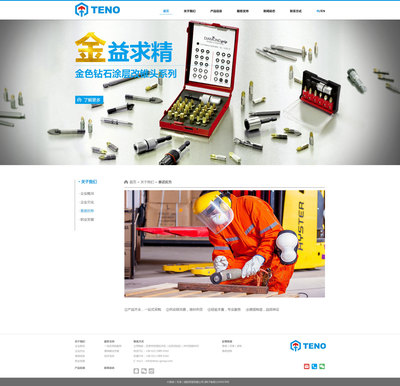 奔唐网络携手泰诺国际贸易,开创网站建设平台!|网页|企业官网|天津奔唐网络 