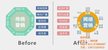 天津高端网站建设报价,星科电商天津网站建设专家