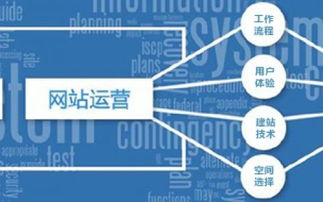 网站运营