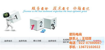 天津网站建设软件 天津网站建设 网站建设就找星科电商