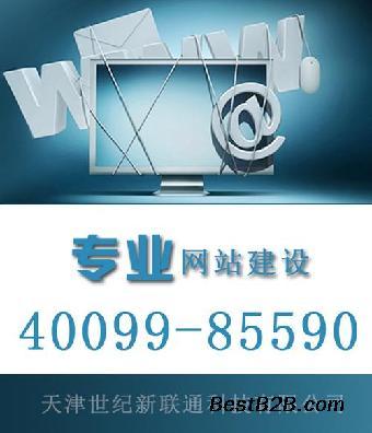 企业网站建设公司,河北企业网站,世纪新联通在线咨询_志趣网